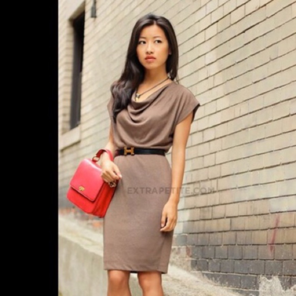 LAST CALL: Ann Taylor Petite Metallic Brown Dress
